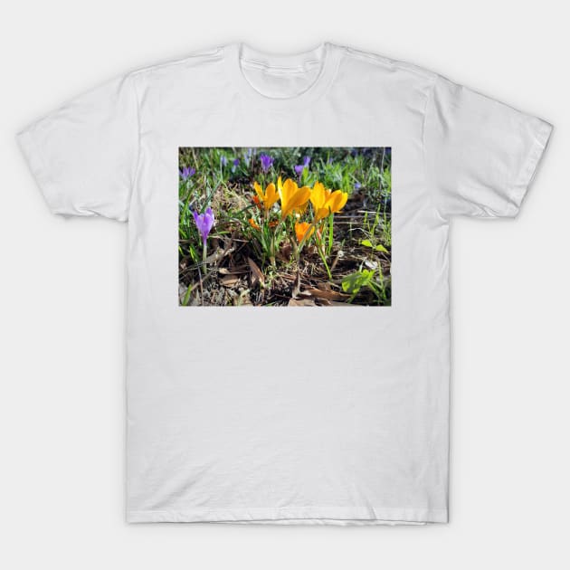 crocus group T-Shirt by Gourmetkater